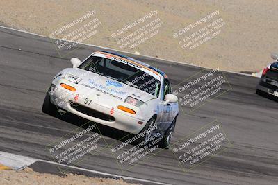 media/Oct-14-2023-Lucky Dog Racing (Sat) [[cef75db616]]/Turn 12 Exit-Bowl Backside (230pm)/